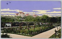 09111 O9000 Chemnitz , Sachs - Stadtpark, Rosarium