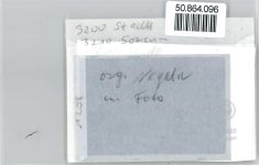 31008 W3210 Sorsum b Elze, Leine - Foto mit Negativ, Geschäft