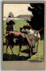 Ziegenweide, Künstler-Karte Gams