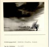 W2285 Kampen (Sylt) Gemälde Claußen Foto montiert auf Karton Künstler FOTO KEINE AK