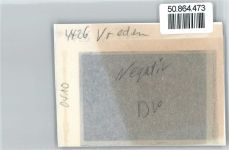 48691 W4426 Vreden - Negativ