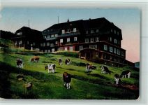 Spindleruv Mlyn Spindelmühle - Hampelbaude Riesengebirge Schlesien Kuh