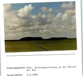 25938 W2270 Wyk auf Föhr FOTO KEINE AK Neulandgewinnung Marsch Foto montiert auf Karton