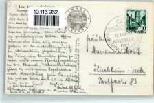 Musengarten Banane