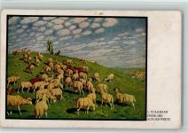 Frühling auf der Weide Schäfer mit Hund und Schafherde sign. v. Volkmann Frühling Schaf Künstlerkarte