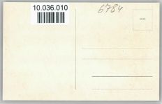 66987 W6784 Thalfröschen