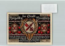 06618 O4800 Naumburg (Saale) - Notgeld Scherenschnitt Kirschen