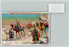 Dromedar Karawane , Sammelbild Liebig Arab. Volkstyp