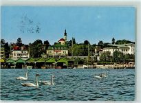 82319 W8130 Starnberg - Starnbergersee Schwäne