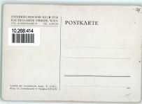 Rauhhaarterrier Terrier Gebrauchsspuren