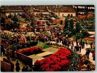 16100 Genova 1981 - EuroFlora