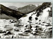 6881 Mellau - Winter