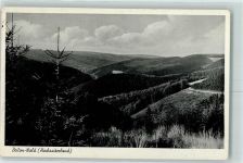 59929 W5790 Brilon-Wald