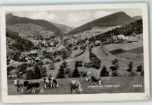Langenbruck Basler Jura Kuh Gebrauchsspuren