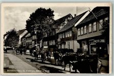 38877 O3702 Benneckenstein - Kühe