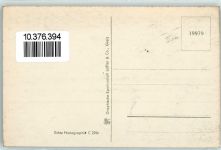 38877 O3702 Benneckenstein - Kühe