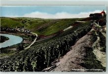 97332 W8712 Escherndorf - Vogelsburg Weinreben Mainschleife
