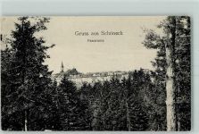 08261 O9655 Schöneck , Vogtl 1913 - Panorama