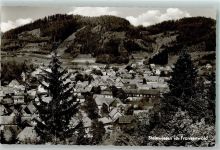 96349 W8645 Steinwiesen