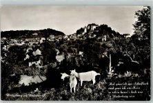 56457 W5438 Westerburg , Westerw - Ziegen