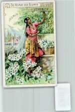 Kaffee Kaiser Otto Hauswaldt Serie Die Heimat der Blumen Nr. 5 Sammelbild Lithographie