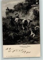 Hund und Kühe - Nr. 21 Verlag Brunner AK Koller, R. 1905