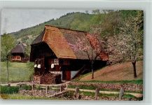 FPHG Serie 66 - Bauernhaus Schwarzwaldhaus 1916