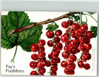 Fays Fruchtbare Kirsche Aus Junge : Unser Beerenobst in Feld und Garten 27 Tafeln Frucht, Gemüse