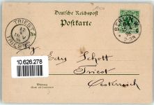 10115 W1000 Tiergarten 1896 Lithographie Berliner Bär Denkmal Königin Luise Löwenbrücke