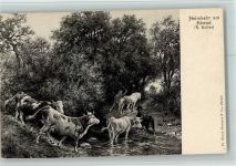 Nr. 15 Verlag Brunner & Co , Kühe, Heimkehr am Abend , gute Erhaltung Koller, R.