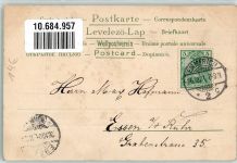 Mädchen füttert vier Hundewelpen Lithographie ESD Serie 806 Welpe 1901 Prägedruck