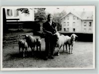 Ziegenhirte, gute Erhaltung AK Ziege Foto AK