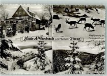 57339 W5927 Zinse Foto AK Pension Afflerbach Wildfütterung Winter