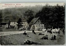 07607 O6520 Eisenberg , Thür - Froschmühle im Mühltal
