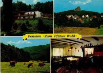 76857 W6749 Gossersweiler-Stein - Pension Zum Pfälzer Wald Innenaufnahme Kühe Ortsansicht 4-Bildaufnahme