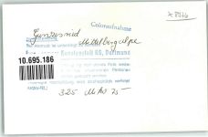 87544 W8976 Gunzesried FOTO KEINE AK Ort handschriftlich Mittelbergalpe