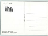 Cham Schweizer Pfadfinderinnen - Bauernhaus AK Pfadfinder 1960