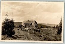 79674 W7868 Todtnauberg Foto AK Gasthaus Stübenwiesen