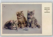 Namenstag - 1943 AK Katze
