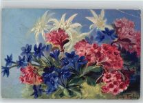 Stilleben - T.S.N. Serie 516 - Edelweiß Blumen Golay, M. Künstlerkarte