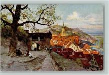Tübingen Blick von der Schloßlinde AK Compton, E. H.