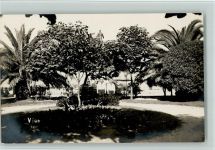 Vigo - Kinder im Park