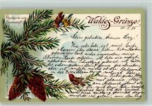 Karte mit Tannenduft, Tannenzapfen , Verlag J.C. Schmidt Duftkarte 1900 Lithographie