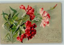 Blumen Nelken litho 1901 AK Klein, C. / C. Klein