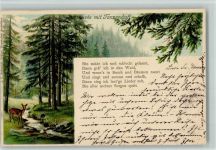 Tannenduft - Gedicht . Reh im Wald AK Duftkarte Lithographie