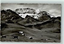 Adelboden BE Hahnenmoos-Pass Adelboden-Lenk Wildstrubel Kuh