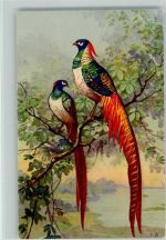 sign E.B. Paradiesvögel Vogel