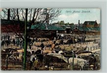 Ipswich 1908 - Cattle Market - Marktszene