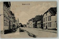 29468 W3134 Bergen Dumme