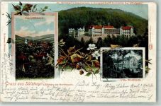 99755 O5508 Sülzhayn 1903 - Dr. KRemsers Sanatorium und Knappschafts Heilstätte Villa Waldhaus